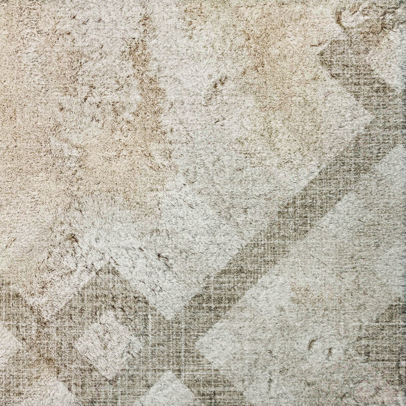 Tapis à poil long de qualité supérieure lavable à la machine ADS616, 8' x 10', Beige