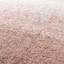 Anyelina Ombre Shag Area Rug-1025202564