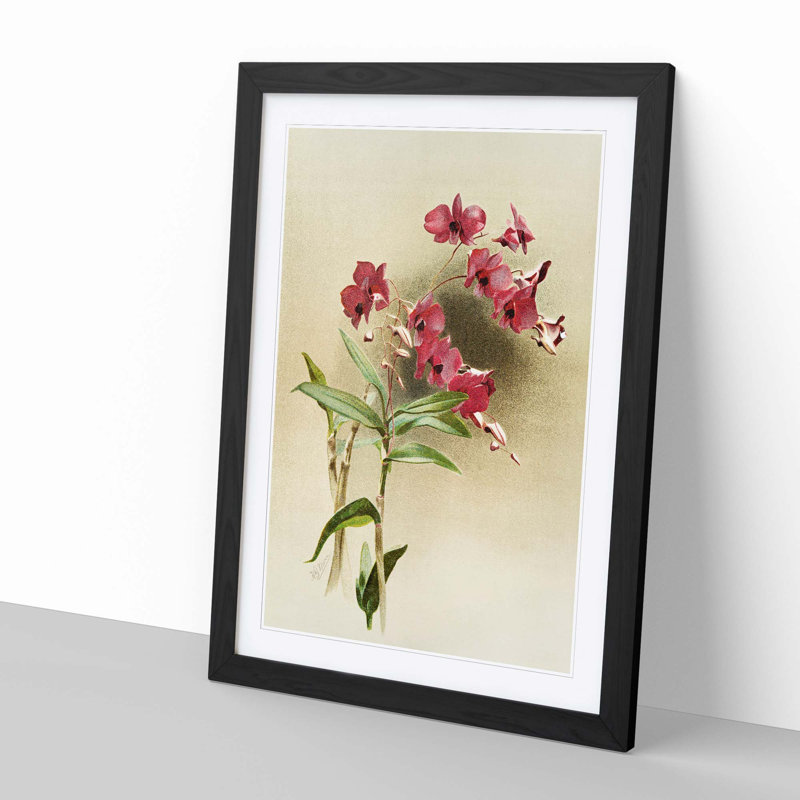 Magnolia Flowers Illustration Tab. 7 by Frederick Sander - Picture Frame Painting Print, 76cm H x 50cm W x 2cm D, Black