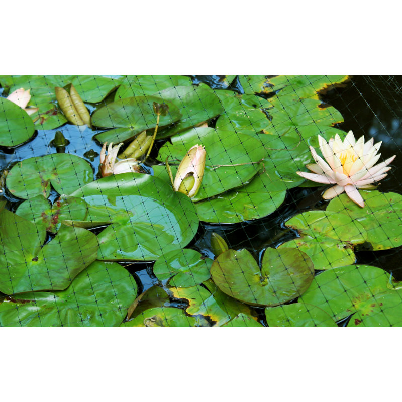Sac pour filet de protection pour plantes et étang 14 pi x 14 pi noir, 168" H x 168" W
