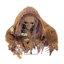 «Haunted Hill Farm» 5 pi 2 po Sonic Reaper Halloween avec lumière DEL jaune