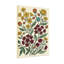 Plantes et fleurs avec motif floral jaune et rouge-4423210