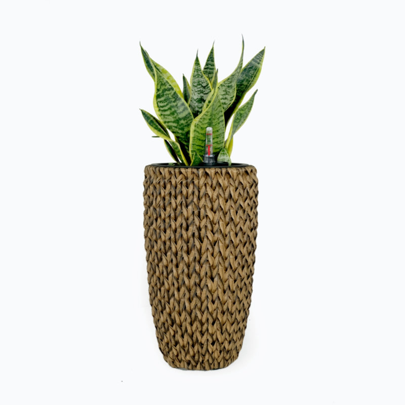 Pot à fleur Barmore, H 19,7 po x l 10,6 po x P 10,6 po, Beige