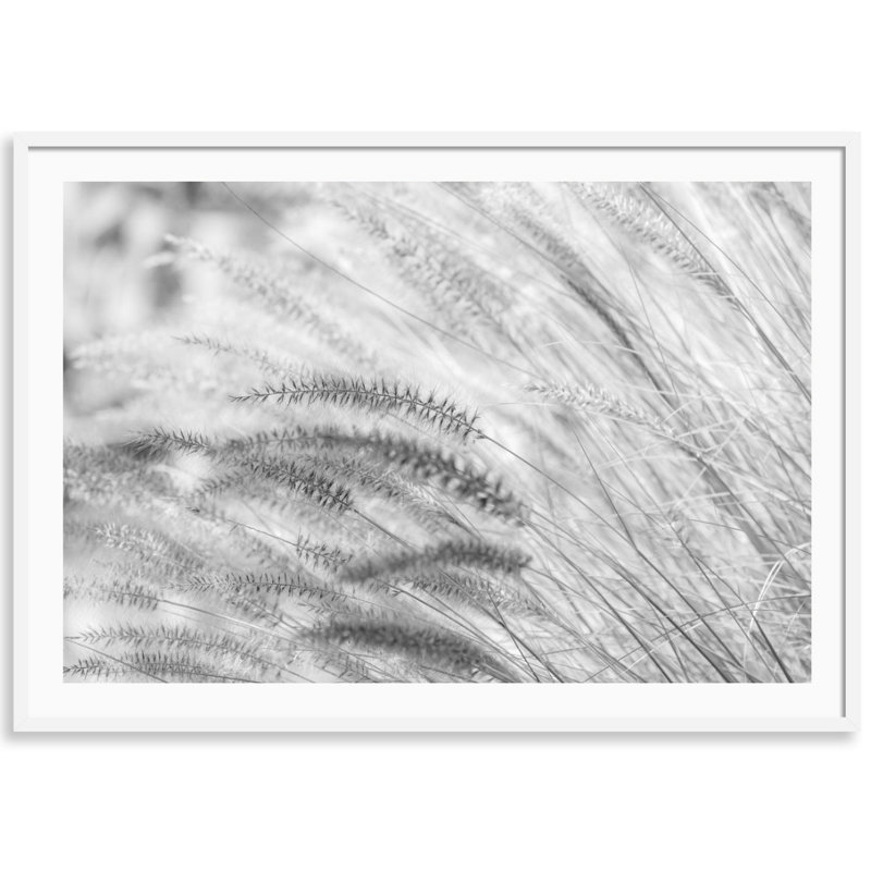 Summer Breeze par Carly Tabak - Photographie avec cadre photo, L 25 po x H 18 po, Bois blanc