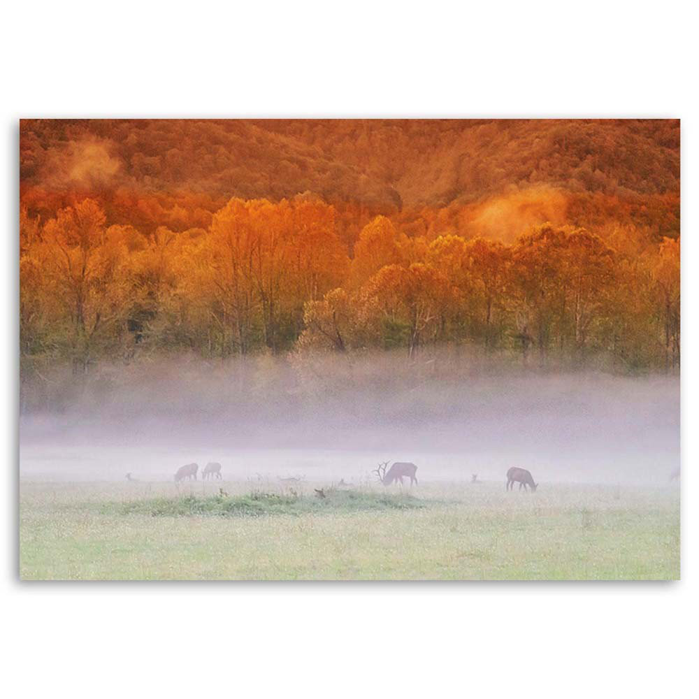 Leinwandbild Nebel über einem Rauschen