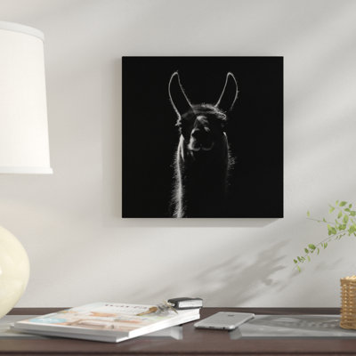 « llama », impression sur toile