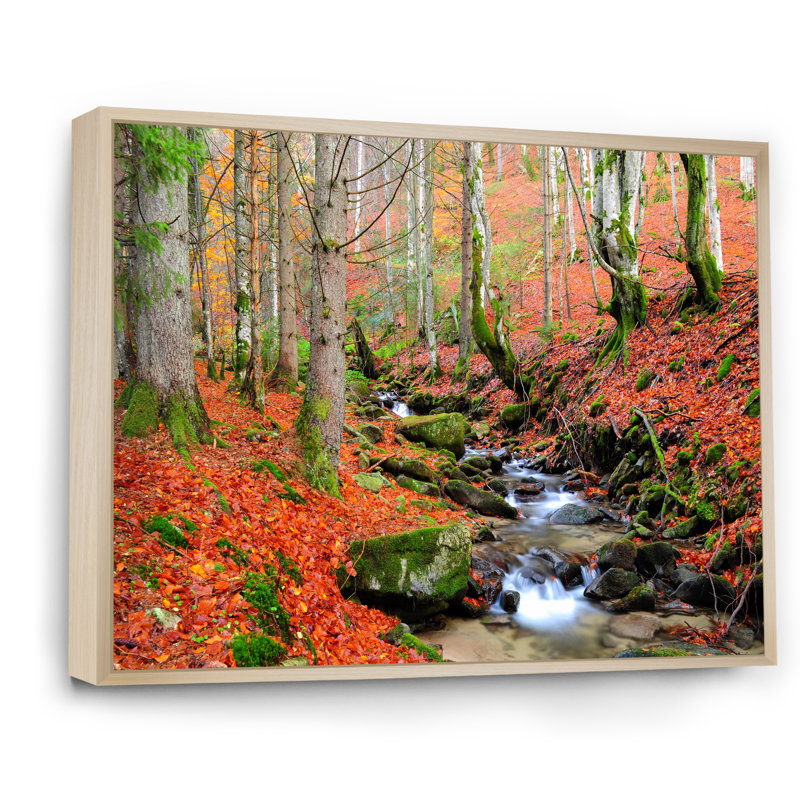 «Beautiful Autumn Forest Waterfall IV», art mural traditionnel sur toile, H 16 po x l 32 po x P 1,5 po