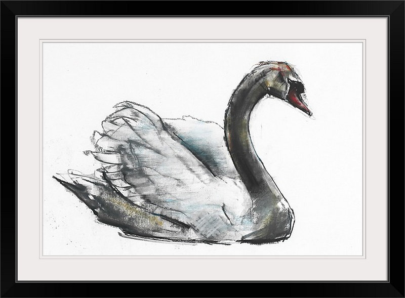 «Endicott Swan (Charcoal)» par Mark Adlington, reproduction d'art, H 28 po x l 38 po x P 1 po, Cadre noir