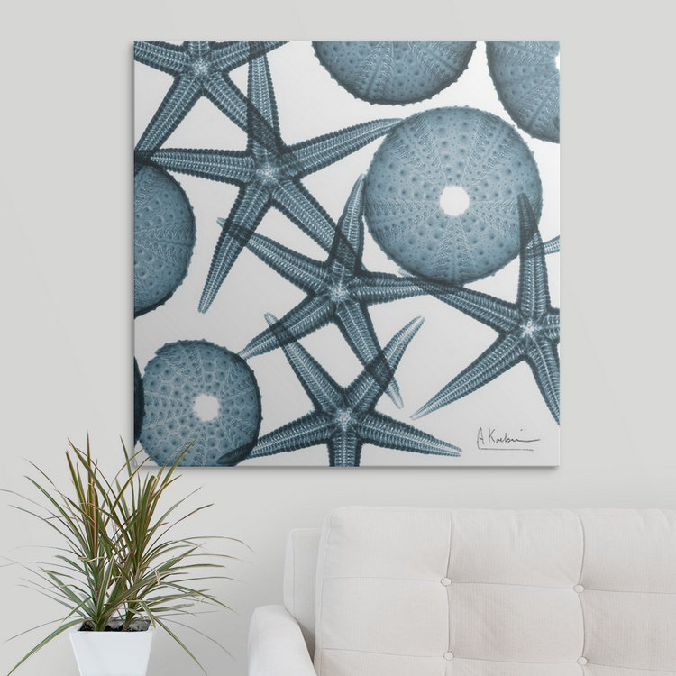 «Starfish X-Ray» par Albert Koetsier - reproduction de photo, H 16 po x l 16 po x P 1,5 po, Toile
