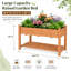Lit de jardin surélevé-122763036