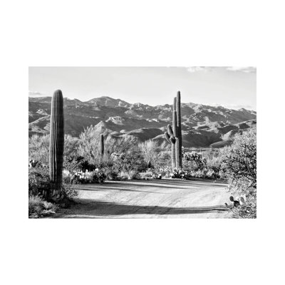 Série noire Arizona - Cactus en route - PHD1490