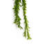80 cm H Faux Plant-127680985
