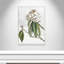 «Pearly Beauty II» par Eva Watts-129313461-129313462-129313491