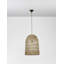 Griffin 1 - Light Black Crystal Pendant