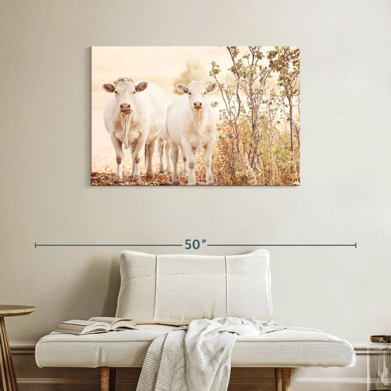 Charolais Cows, 26" H x 39" W