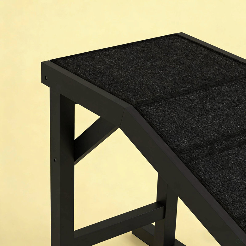 Rampe noire, rampe pour animaux de compagnie