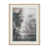 Framed Print with Mat Forest Whispers II