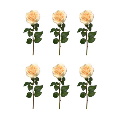 Arrangement de roses
