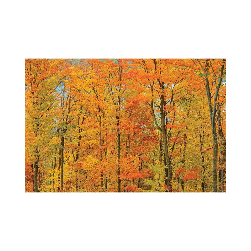 Canada, Ontario, Manitoulin Island by Jaynes Gallery - Wrapped Canvas Print, 66.04 cm H x 45.72 cm W