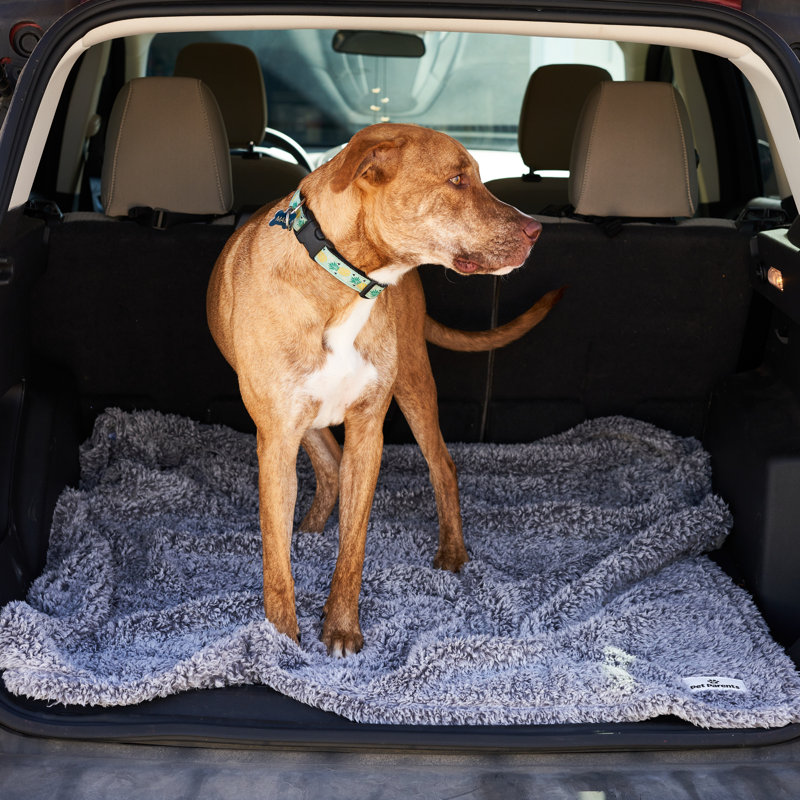 Pet Parents® Pet Blanket, Premium Dog & Cat Blanket, 50" W x 60" L, Slate
