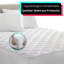 Cianchette Waterproof Fitted Mattress Protector Case Pack-275337784