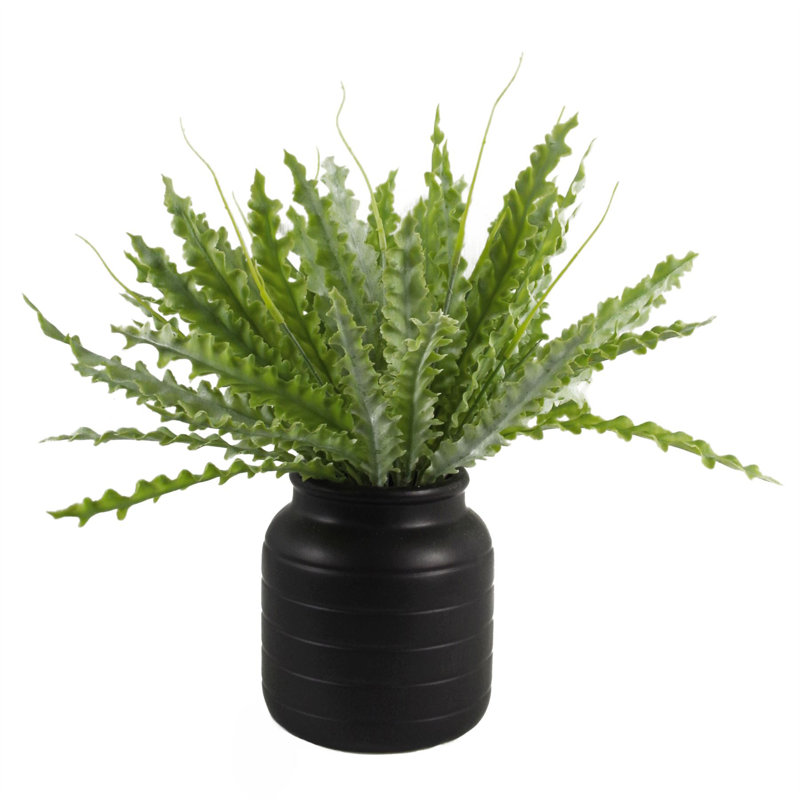 Ceramic Cachepot