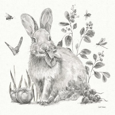 Garden Patch IV Sketch by Leslie Trimbach