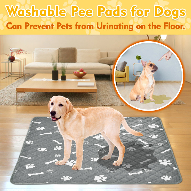 Washable Pee Pads for Dogs, Non-Slip, Highly Absorbent, Reusable, Waterproof Pet Training Pads for Playpen, Crate, Cage