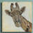 " Patterned Giraffe " Print-30375678
