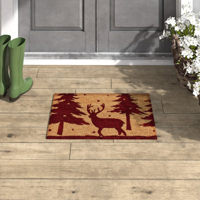 Aiuppy Non-Slip Christmas Outdoor Doormat