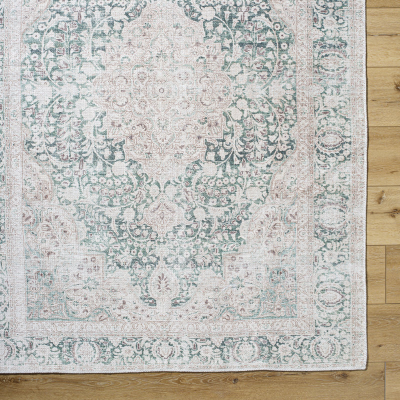 Alburgh Washable Oriental Indoor Rug, Runner 2'2" x 11"