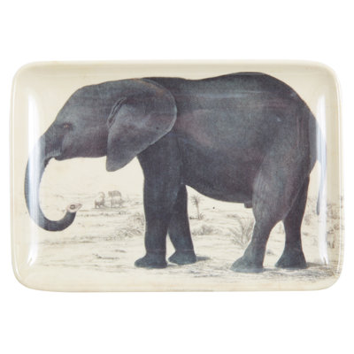 PLATEAU PACHYDERM