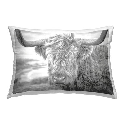 Close Up Fuzzy Cattle Decorative Printed Throw Pillow Design by Jasper Huish