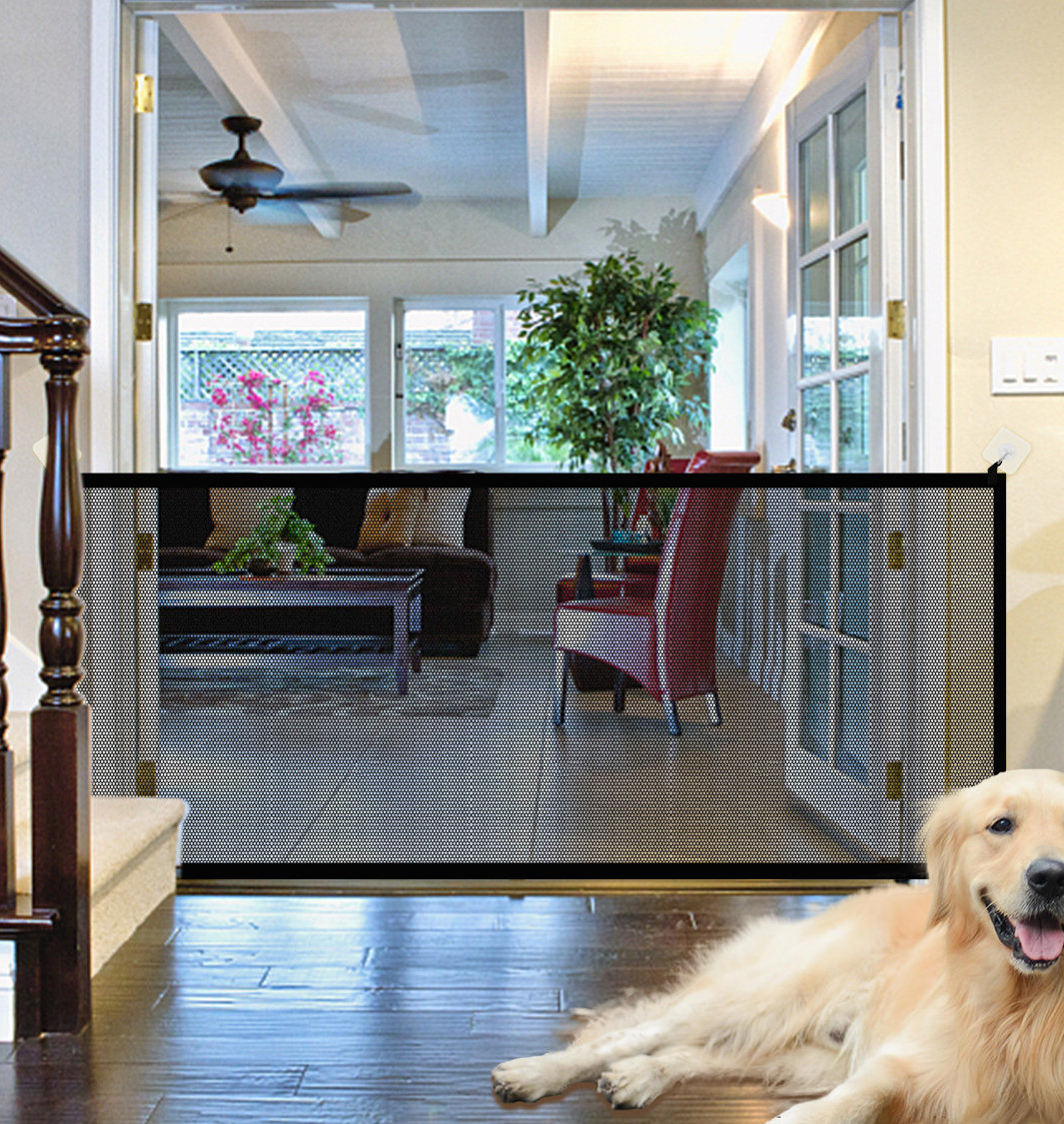 Tucker Murphy Pet™ Free Standing Pet Gate & Reviews Wayfair Canada