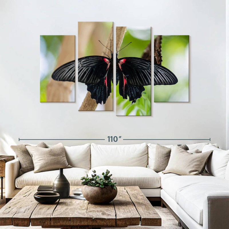 Swallowtail Butterfly