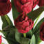 Barreto PEONY TULIP BUNDLE encastré 18 po-129903249