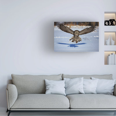 Jim Cumming In Your Face Great Grey Owl Canvas Art