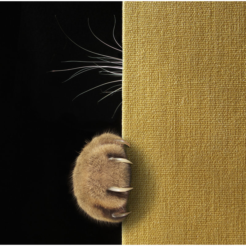 Wrapped Canvas Print, 81.28 cm H x 121.92 cm W