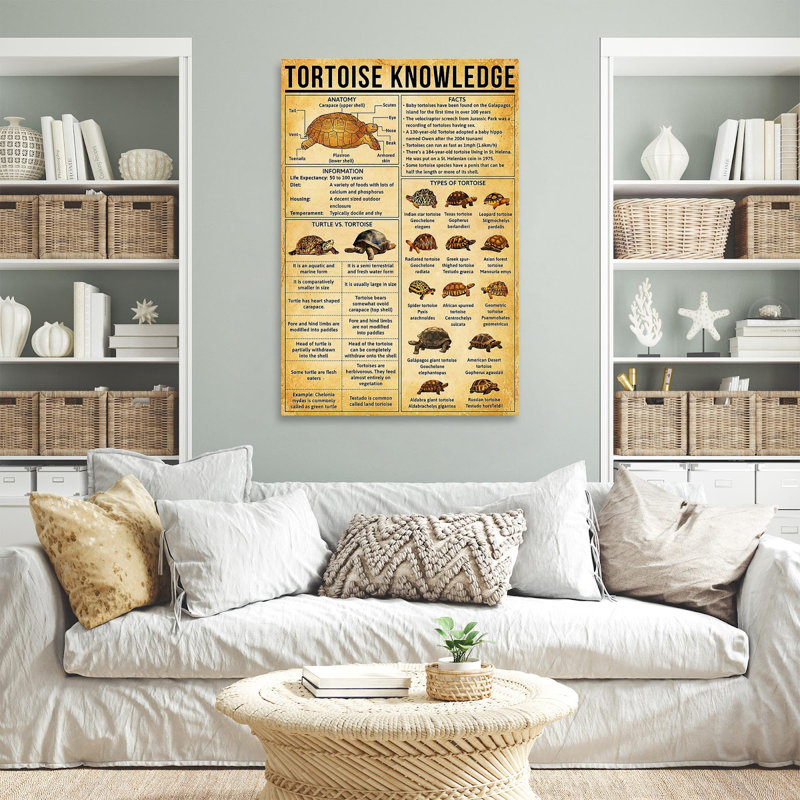 " Tortoise Knowledge ", 36" H x 24" W x 1.25" D