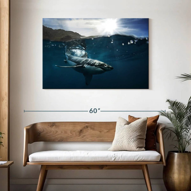 Brampt Shark Sunshine, 30" H x 45" W