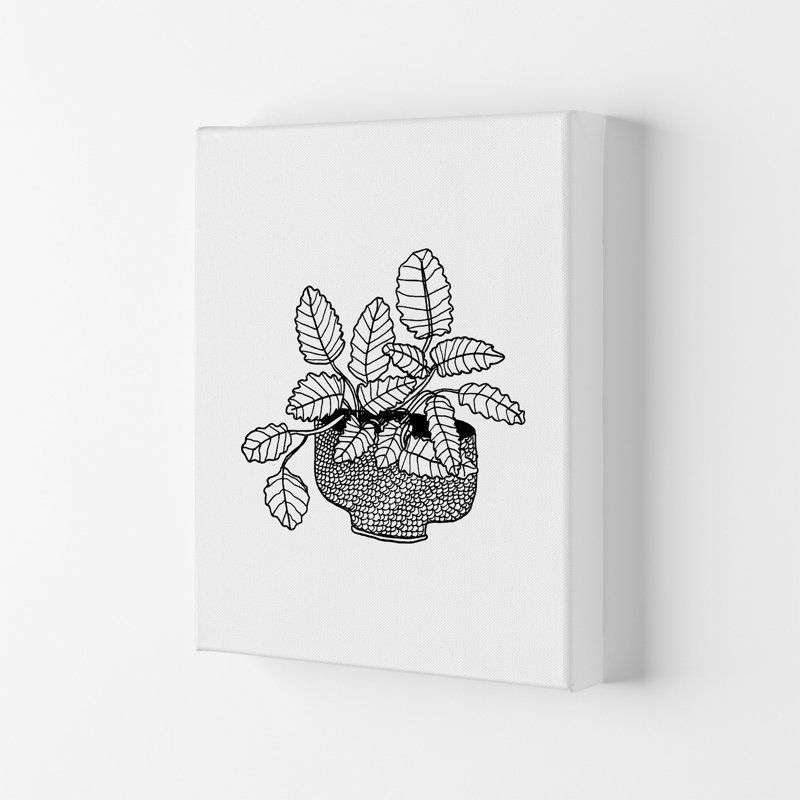 Peppermint by Carissa Tanton - Wrapped Canvas Print, 42cm H x 29.7cm W x 4cm D