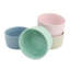 8 oz. Martha Stewart Plat Remekin