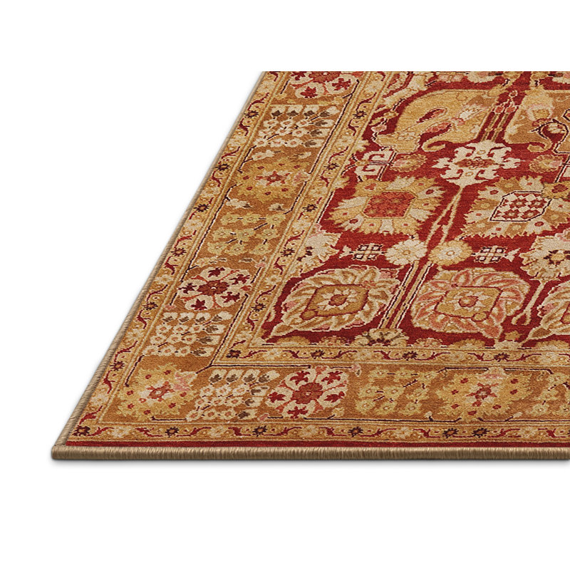 Tapis oriental rouge / brun clair Peekskill, Rectangle 5 pi x 7 pi