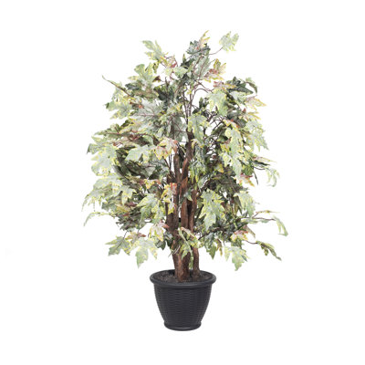Artificial Frosted Maple Extra Full Series
