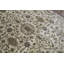 Shamas Oriental Area Rug in Cream/Purple/Green/Ivory