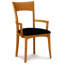 Ingrid Upholstered Arm Chair-22557500-22354363