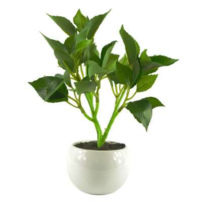 Anlin 20cm Faux Ficus Tree in Pot