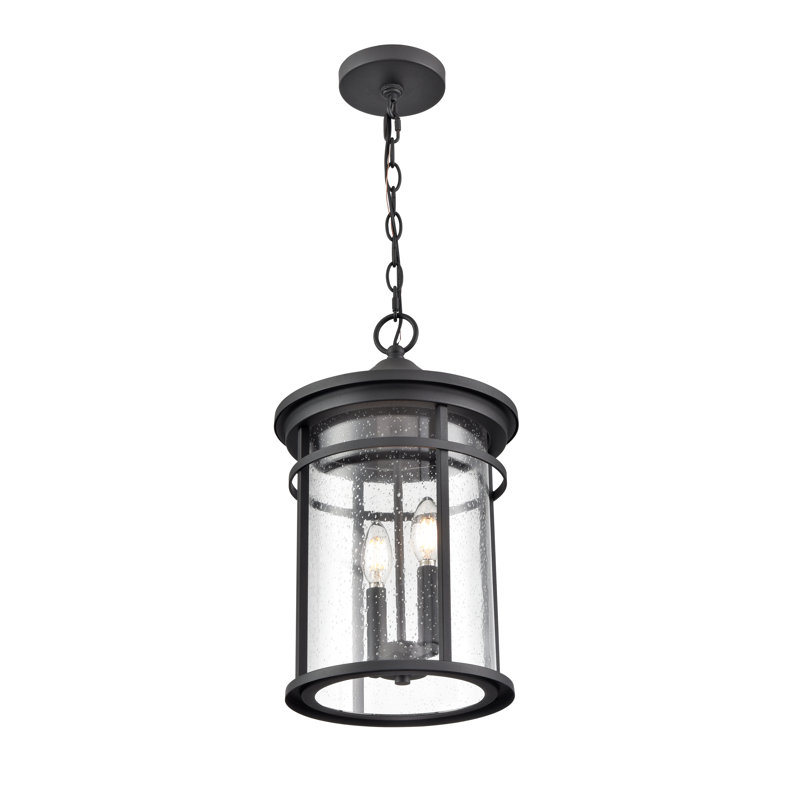 Zadrian 2 - Light 10.5" Wide Outdoor Hanging Lantern