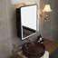Miroir pour armoire à pharmacie Mahisha-818394993