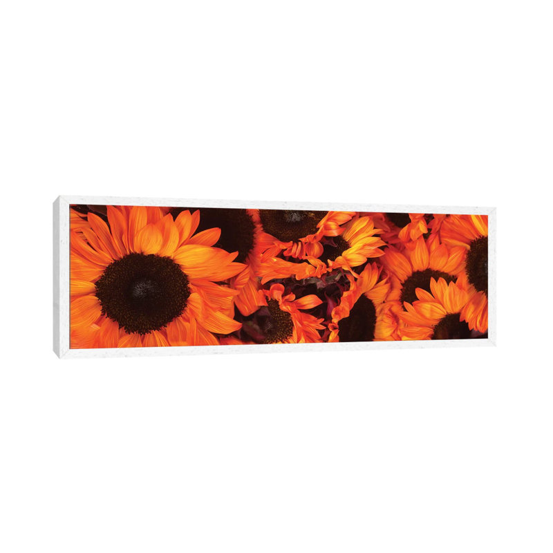 Close-Up Of Orange Sunflowers 1 Piece Panoramic Wall Art on Canvas, 152.4 cm H x 50.8 cm W, White Floater Frame